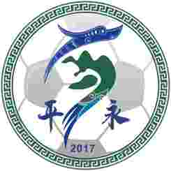 平永村足球队